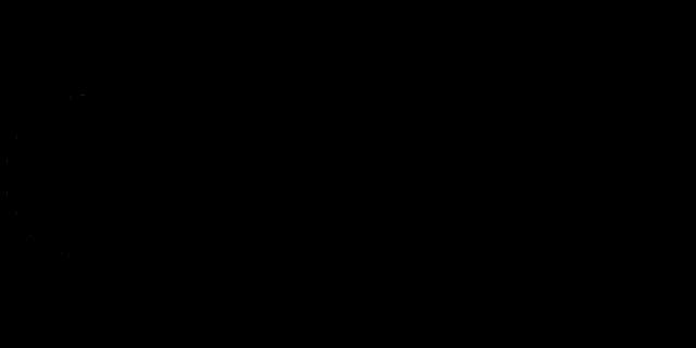SANY logo